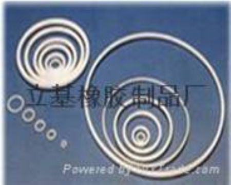 Teflon O-Ring, Ptfe O-Ring